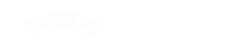 Auto Zoom